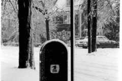 snow-and-mailbox-152