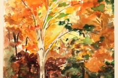 movement-of-fall